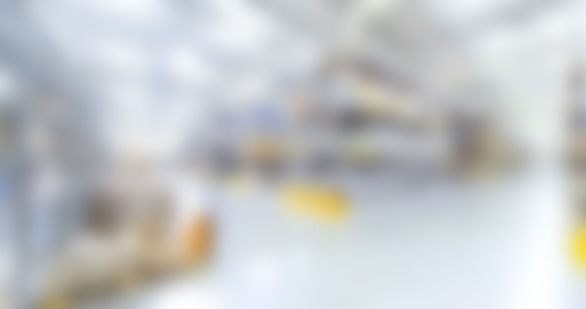 ConsultingPress Finance Consulting Developing a 10-Year Business Strategy for MixLogistics