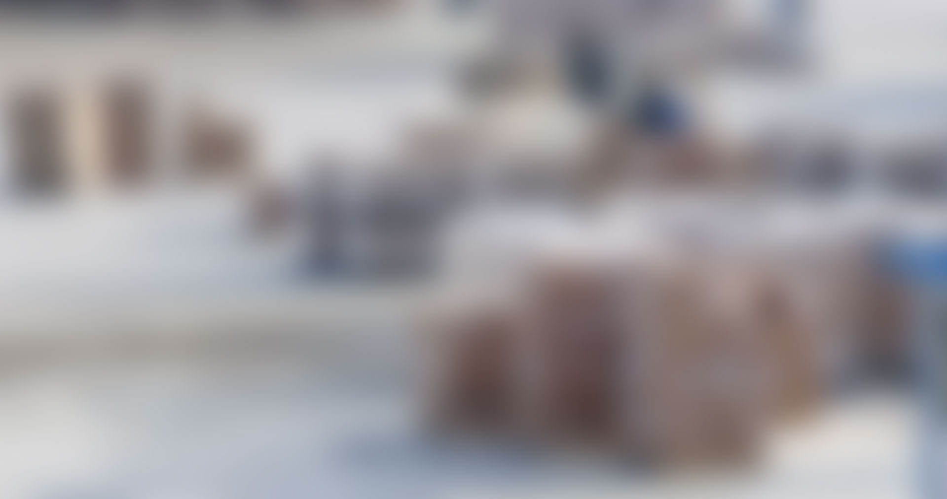 Developing Market Entry Strategy for Avalast Ltd